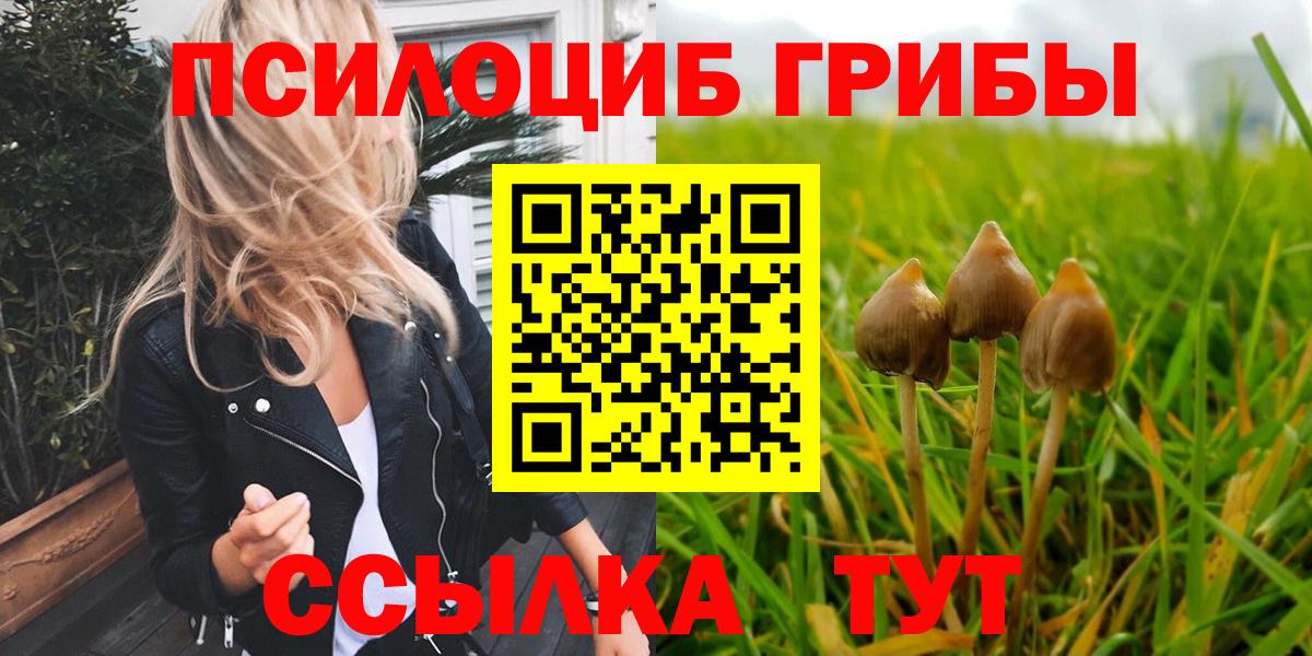 Галлюциногенные грибы прущие грибы Шарыпово