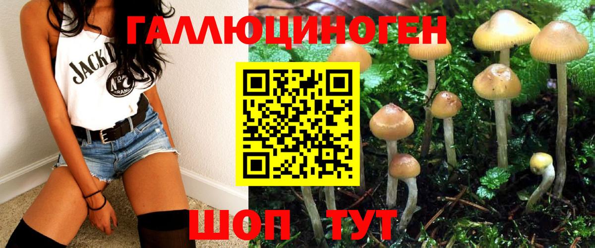Шарыпово  Галлюциногенные грибы MAGIC MUSHROOMS  Вход с VPN  Галлюциногенные грибы Psilocybe 